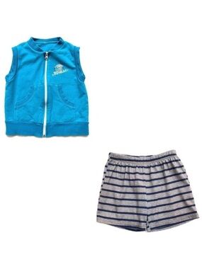 ⭐️ 5 for $25 A Set of Carter’s Striped Blue & Grey Shorts & Blue Vest Size 3 T